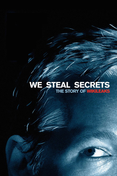 Постер фильма «Мы крадем секреты: История WikiLeaks»