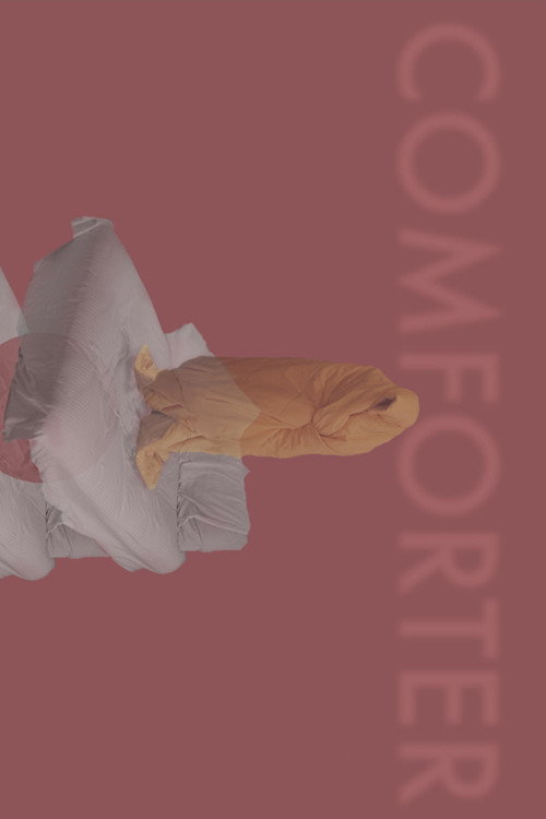 Постер фильма «Comforter»