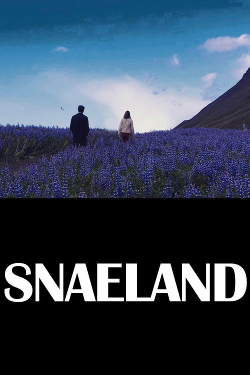 Постер фильма «Snaeland»