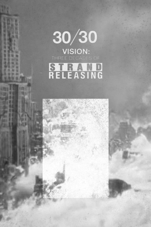 Постер фильма «30/30 Vision: Three Decades of Strand Releasing»