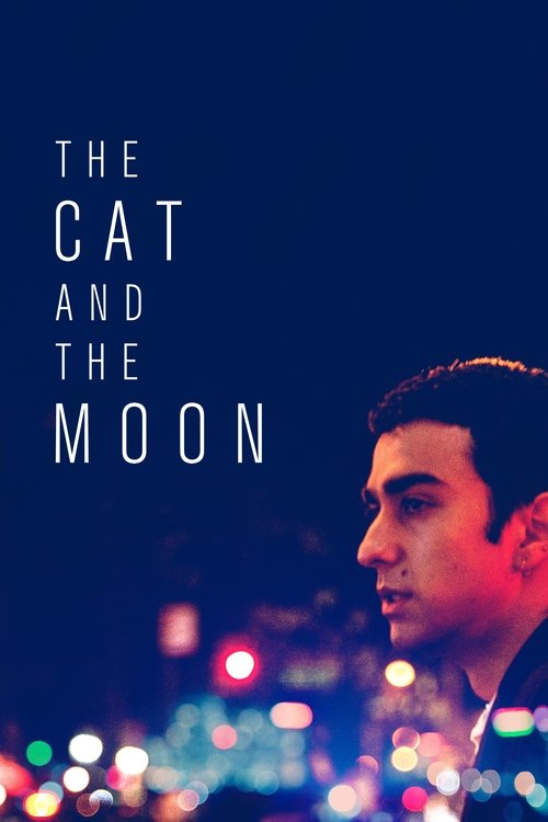 Постер фильма «The Cat and the Moon»