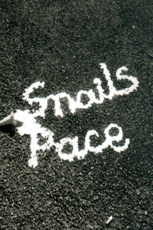 Постер фильма «Snail's Pace»