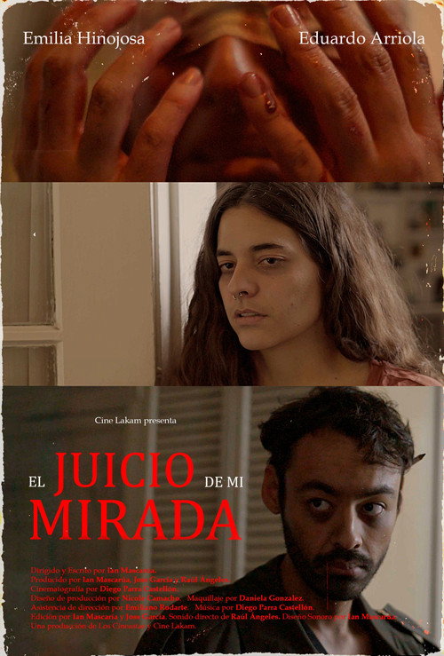 Постер фильма «El juicio de mi mirada.»