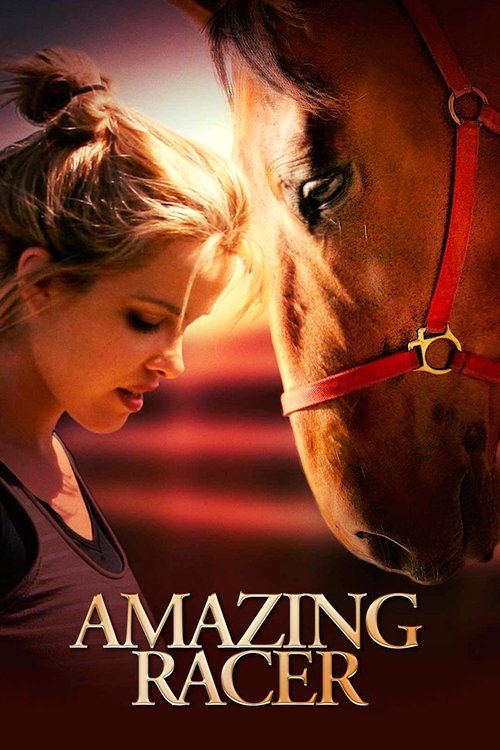 Постер фильма «Amazing Racer»
