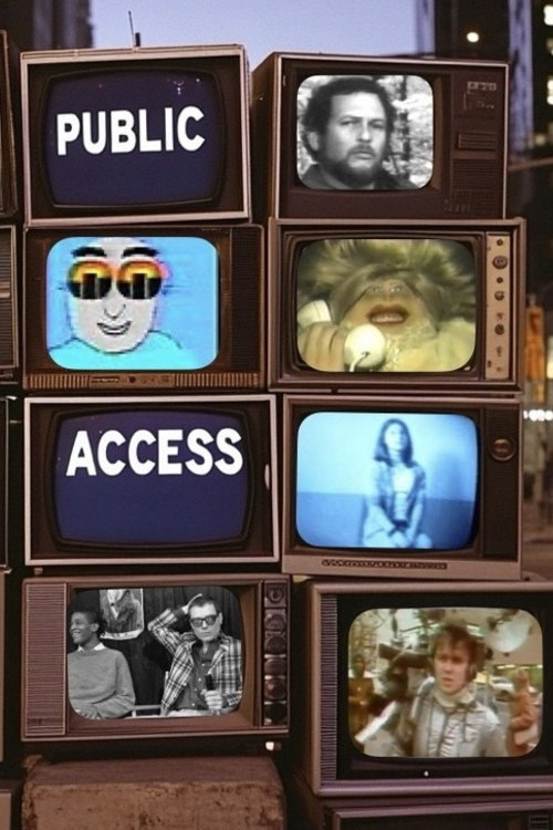 Постер фильма «Public Access»