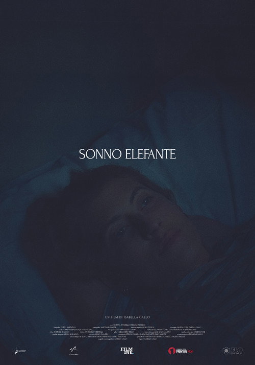 Постер фильма «Sonno Elefante»