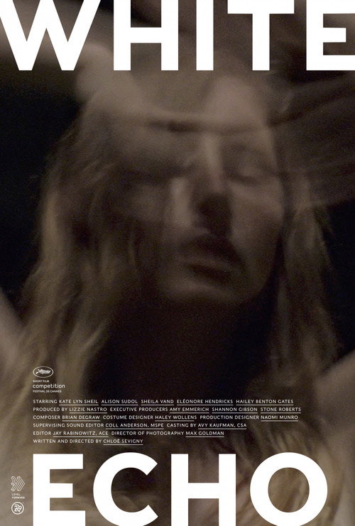 Постер фильма «White Echo»