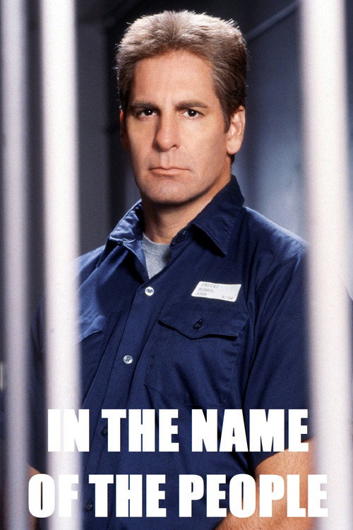 Постер фильма «In the Name of the People»