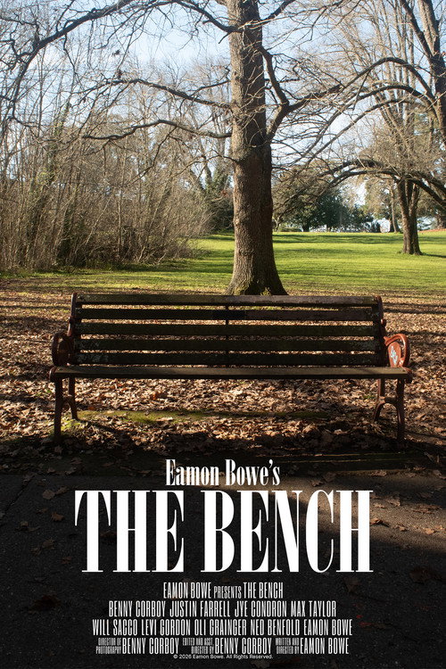 Постер фильма «The Bench»