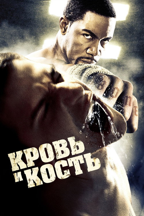 Постер фильма «Кровь и кость»