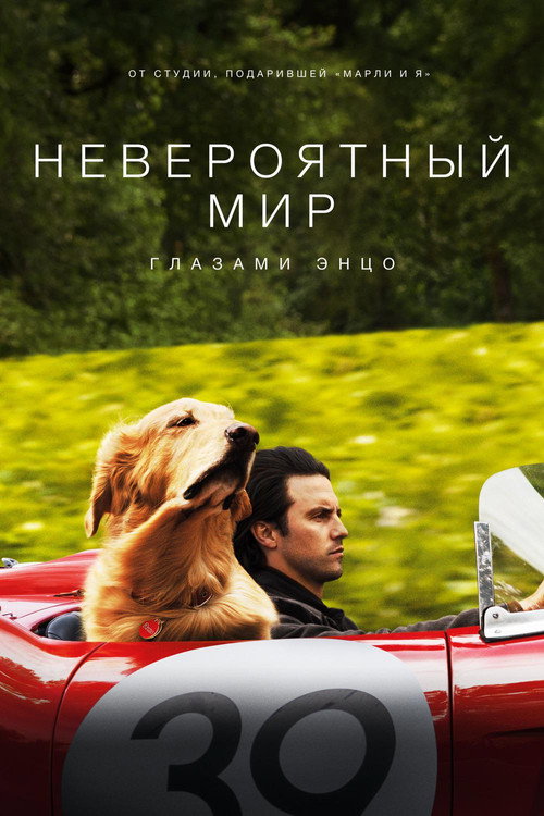 Постер фильма «Невероятный мир глазами Энцо»