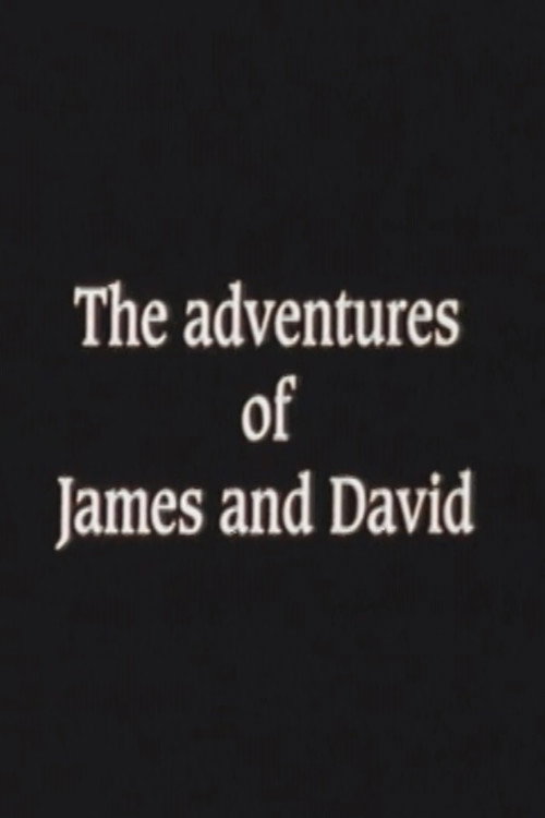 Постер фильма «The Adventures of James and David»