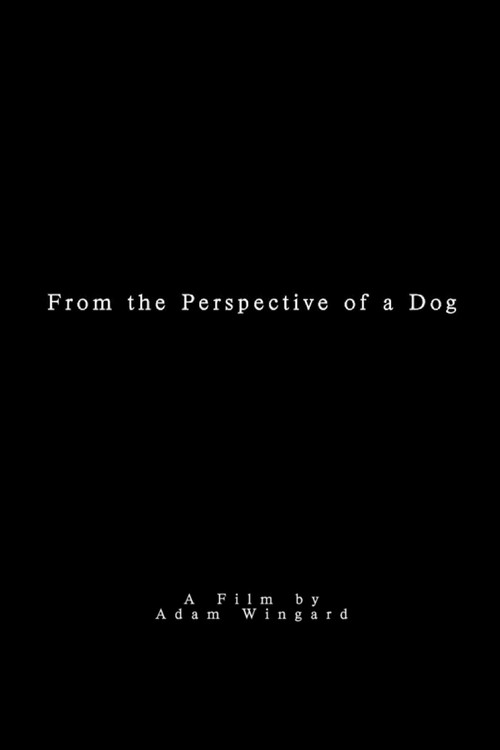 Постер фильма «From the Perspective of a Dog»