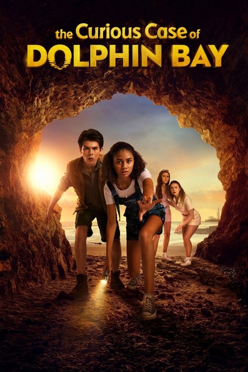 Постер фильма «The Curious Case of Dolphin Bay»