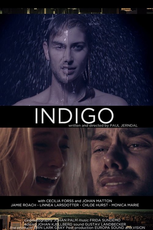 Постер фильма «Indigo»