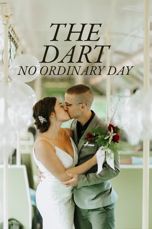 Постер фильма «The DART: No Ordinary Day»
