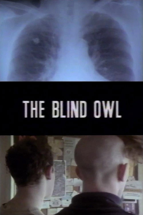 Постер фильма «The Blind Owl»
