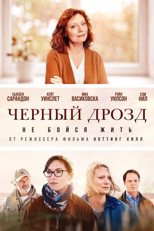 Постер фильма «Чёрный дрозд»