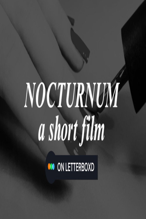 Постер фильма «Nocturnum»