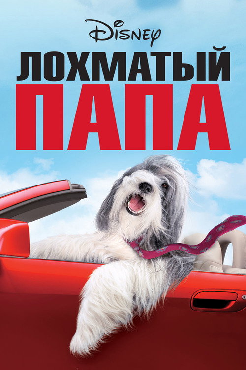 Постер фильма «Лохматый папа»