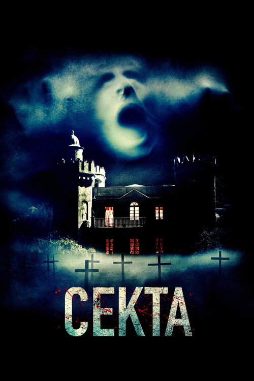 Постер фильма «Секта»