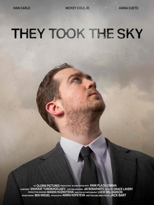 Постер фильма «They Took the Sky»