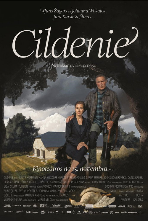 Постер фильма «Cildenie»
