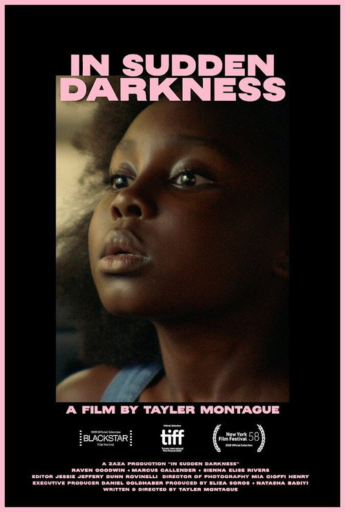Постер фильма «In Sudden Darkness»
