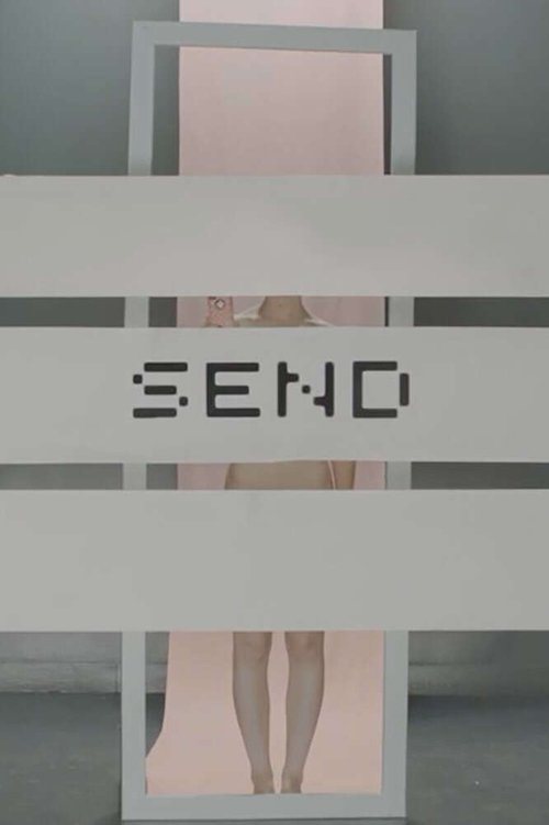 Постер фильма «Send»