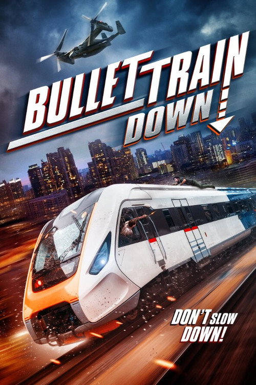 Постер фильма «Bullet Train Down»