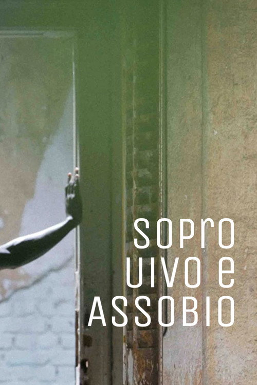 Постер фильма «Sopro, Uivo e Assobio»