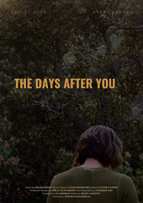 Постер фильма «The Days After You»